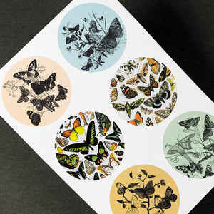 Natural History Label Sticker & Tape Book