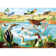 Load image into Gallery viewer, Audubon Harmony of Birds and Stream 1000pc Puzzle
