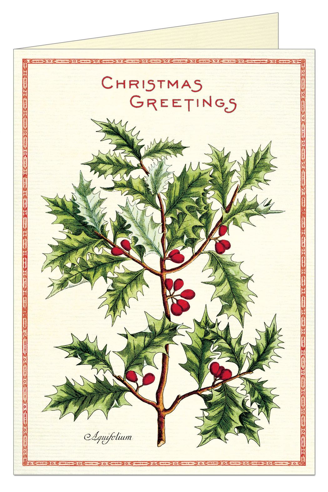 Holly Greeting Card