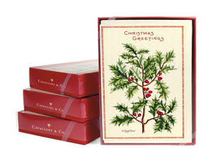 Christmas Holly Boxed Notes