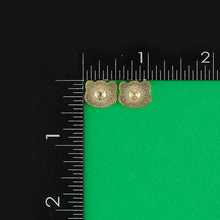 Load image into Gallery viewer, Raccoon Earrings
