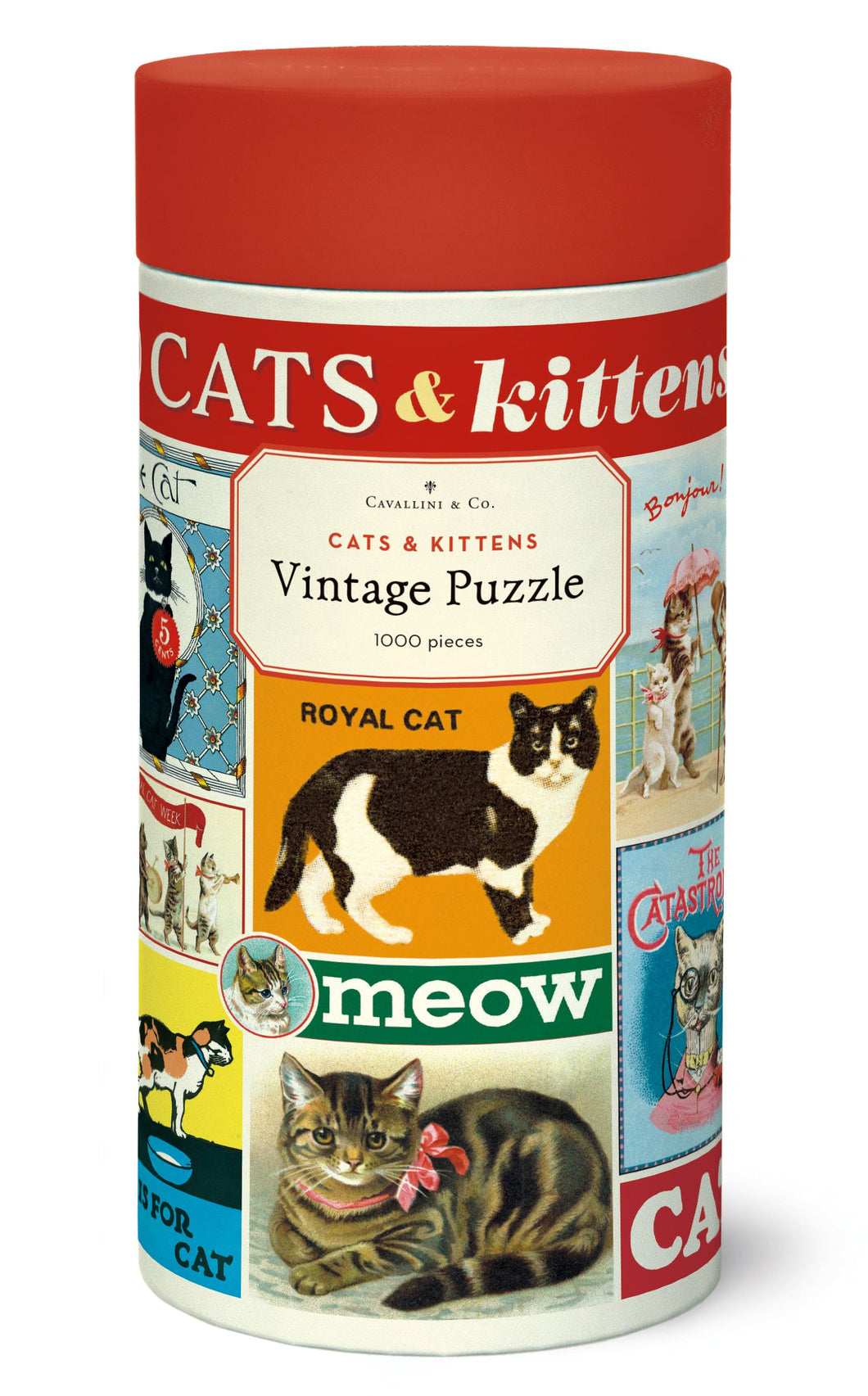 Cats & Kittens 1000pc Puzzle