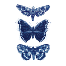 Load image into Gallery viewer, Sapphire Moths Tattoo Pair
