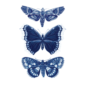 Sapphire Moths Tattoo Pair