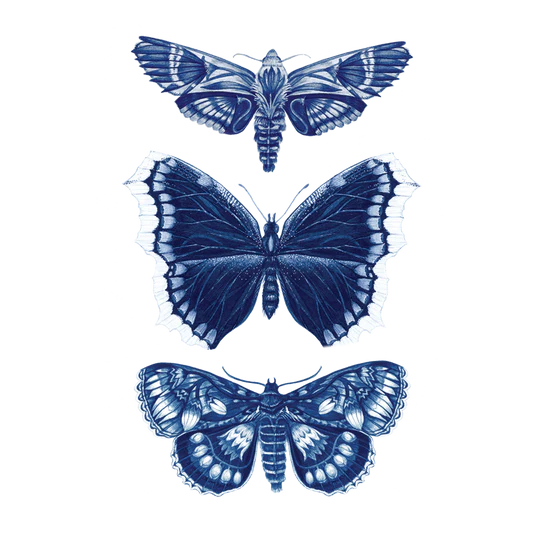 Sapphire Moths Tattoo Pair