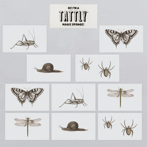 Insects Tattoo Tin