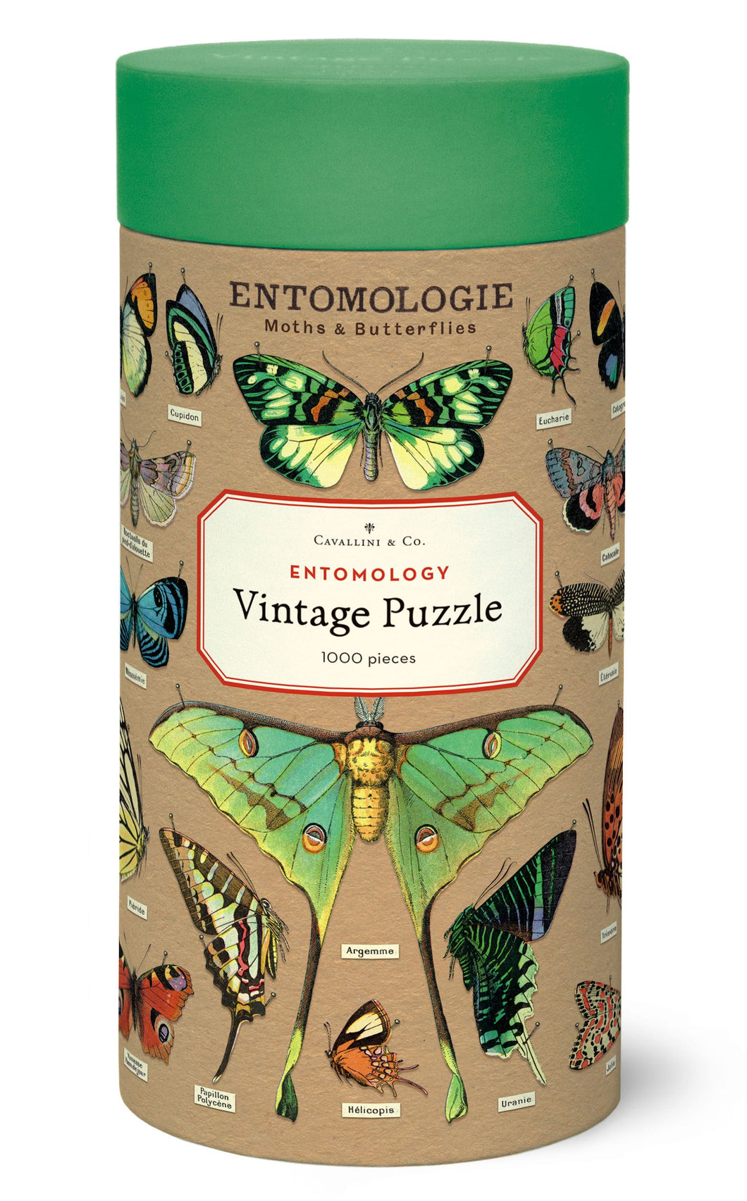 Entomology 1000pc Puzzle