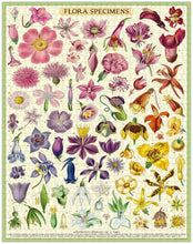 Load image into Gallery viewer, Flora Specimens 1000pc Puzzle
