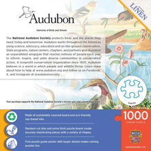 Load image into Gallery viewer, Audubon Harmony of Birds and Stream 1000pc Puzzle
