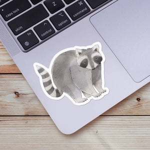 Cute Raccoon Sticker