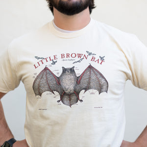 Little Brown Bat Natural Adult T-Shirt