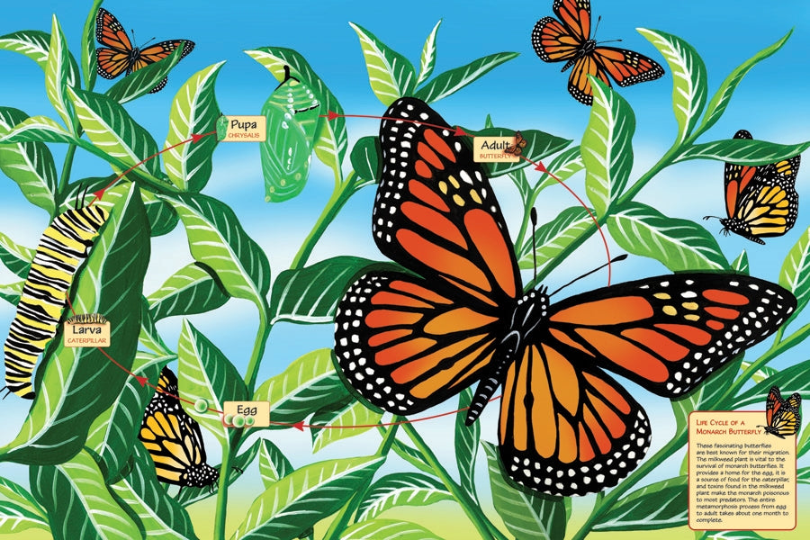 Life Cycle Monarch 48pc Puzzle