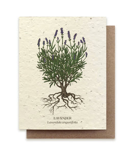 Lavender Plantable Wildflower Seed Card