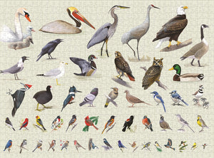 Sibley Backyard Birding Puzzle : 1000pc Jigsaw Puzzle with Portraits of Favorite North American Birds