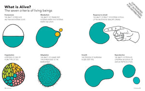 Seeing Science: An Illustrated Guide to the Wonders of the Universe