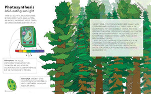 Seeing Science: An Illustrated Guide to the Wonders of the Universe