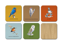 Load image into Gallery viewer, Sibley Backyard Birds Matching Game
