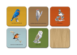 Sibley Backyard Birds Matching Game