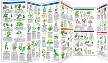 Load image into Gallery viewer, Pocket Naturalist Guides
