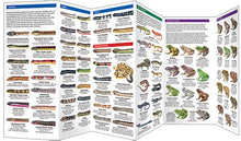 Load image into Gallery viewer, Pocket Naturalist Guides
