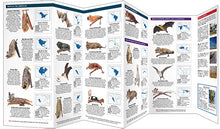 Load image into Gallery viewer, Pocket Naturalist Guides
