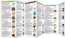 Load image into Gallery viewer, Pocket Naturalist Guides
