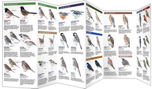 Load image into Gallery viewer, Pocket Naturalist Guides
