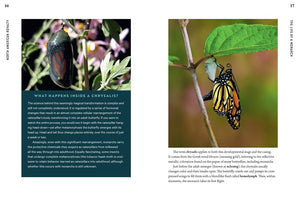 100 Plants to Feed the Monarch : Create a Healthy Habitat to Sustain North America's Most Beloved Butterfly