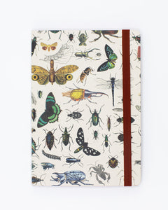 Butterflies & Beetles A5 Softcover Notebook
