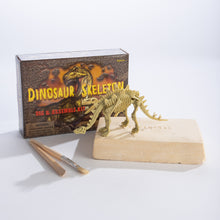 Load image into Gallery viewer, Dinosaur Skeleton Excavation Kit
