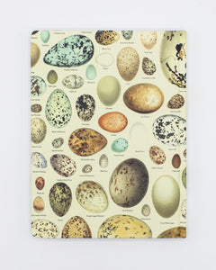 Eggs Hardcover Dot Grid Notebook