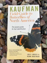 Load image into Gallery viewer, Field Guide to Butterflies of North America
