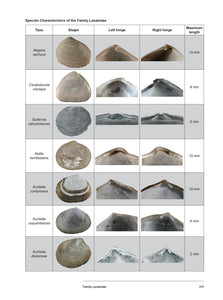 Bivalve Seashells of Western South America: Marine Bivalve Mollusks from Northern Perú to Southern Chile