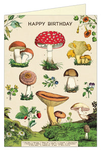 Happy Birthday Mushrooms Card