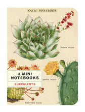 Load image into Gallery viewer, Mini Succulents Notebook 3-pack
