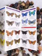 Load image into Gallery viewer, Pocket Naturalist Guides
