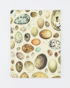 Eggs Softcover Lined Notebook