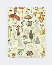 Load image into Gallery viewer, Mushrooms Plate 2 Softcover Dot Grid Notebook
