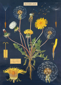 Dandelion Chart Wrap