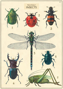 Insect Chart Wrap "Natural History of Insects"