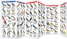 Load image into Gallery viewer, Pocket Naturalist Guides
