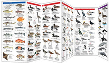 Load image into Gallery viewer, Pocket Naturalist Guides
