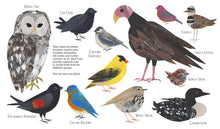 Load image into Gallery viewer, Counting Birds: The Idea That Helped Save Our Feathered Friends
