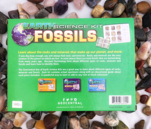 Earth Science Kit: Fossils