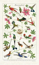 Load image into Gallery viewer, Hummingbirds Tea Towel
