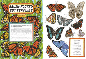The Butterfly House