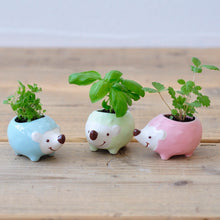 Load image into Gallery viewer, Hedgie Green
