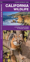 Load image into Gallery viewer, Pocket Naturalist Guides
