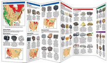 Load image into Gallery viewer, Pocket Naturalist Guides
